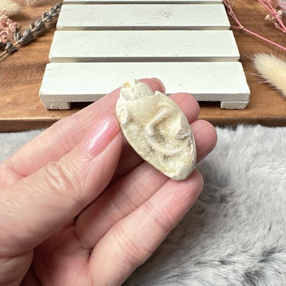 Beautiful Mini Fossil Shell - Picture 2 of 6